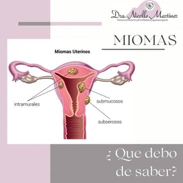 Slider image (2) Dr. Nicolle Martinez